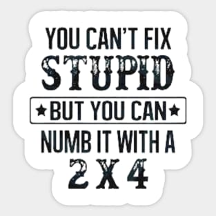 You Can't Fix Stupid But You Can Numb It With A 2x4 Sticker